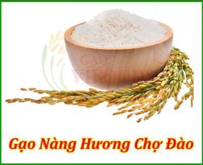 Gạo Nàng Hương Chợ Đào