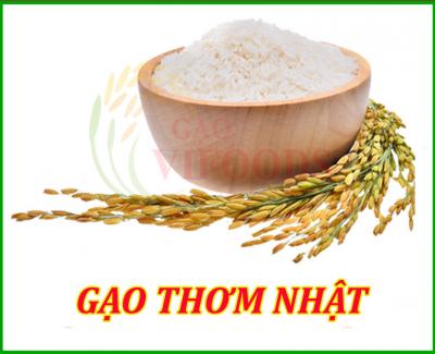 Gạo Thơm Nhật