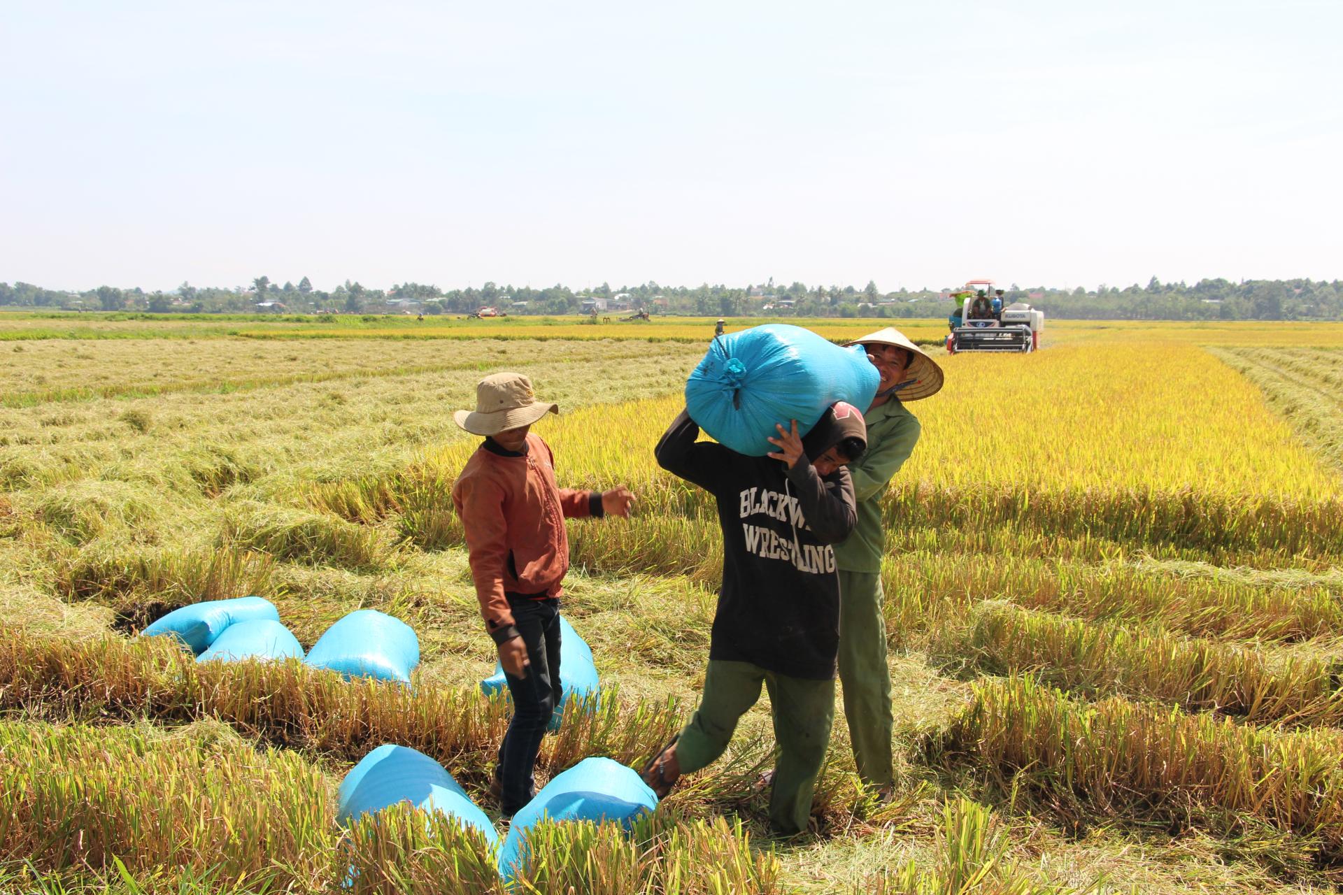 Tìm kiếm nguồn cung uy tín